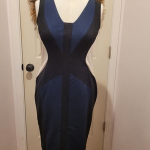 Ann Taylor Dress Size 12